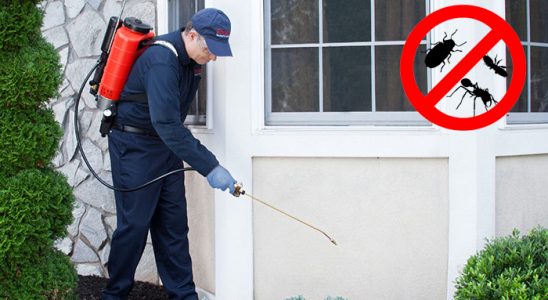 Kocaköy Bit İlaçlama böcek ilaçlama ve haşere kontrolü — ilaclama-tr.com